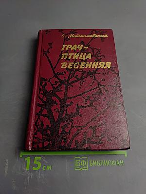 Грач - птица весенняя