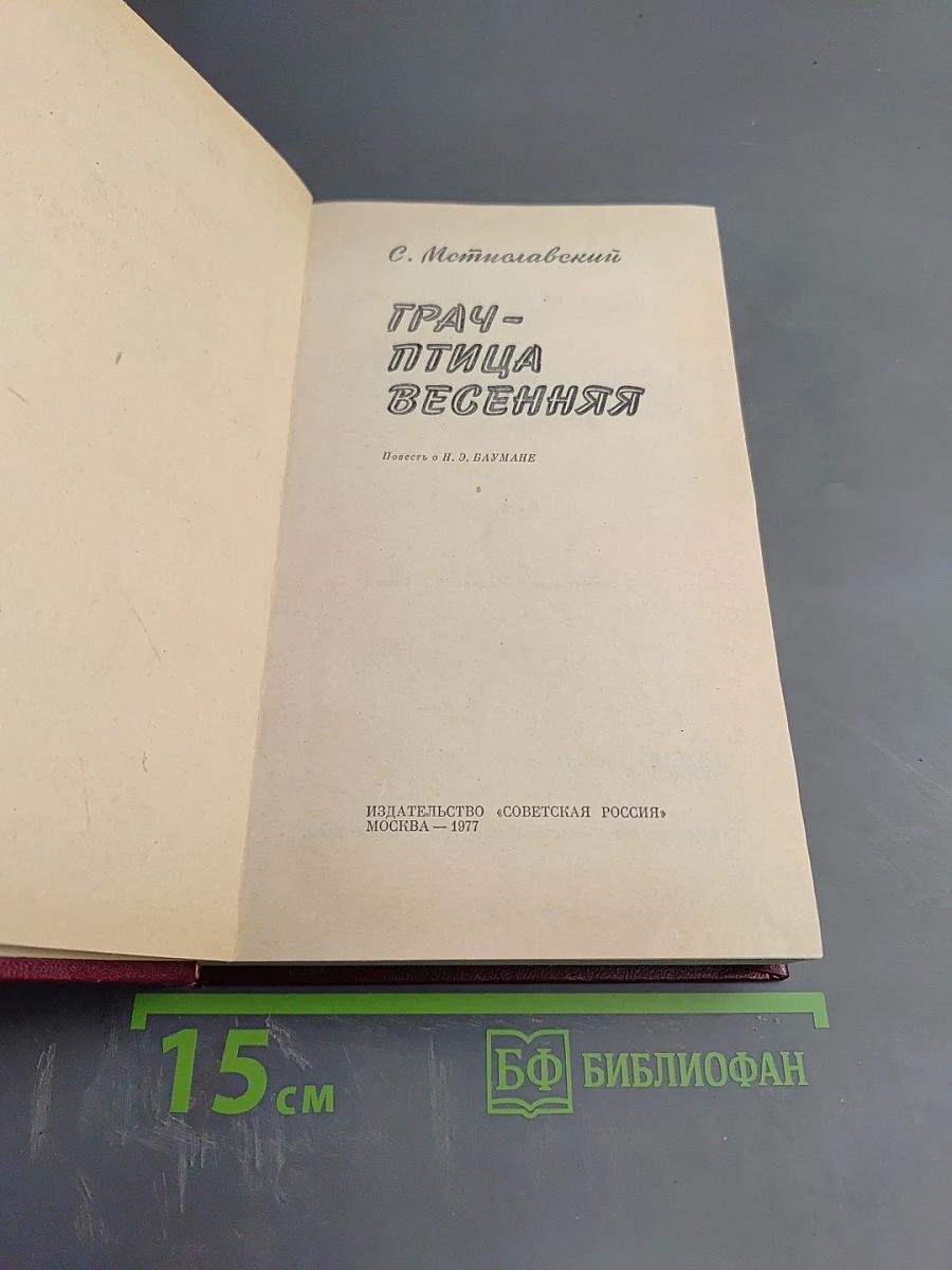 Грач - птица весенняя