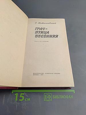 Грач - птица весенняя