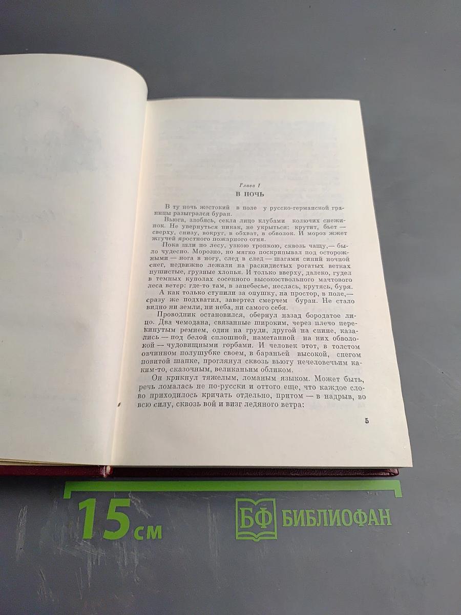 Грач - птица весенняя