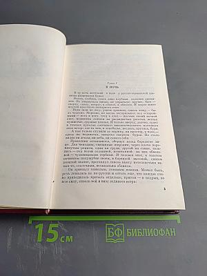 Грач - птица весенняя