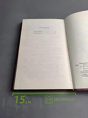 Грач - птица весенняя