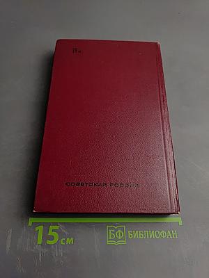 Грач - птица весенняя