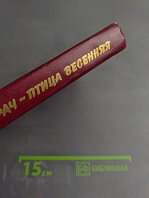 Грач - птица весенняя