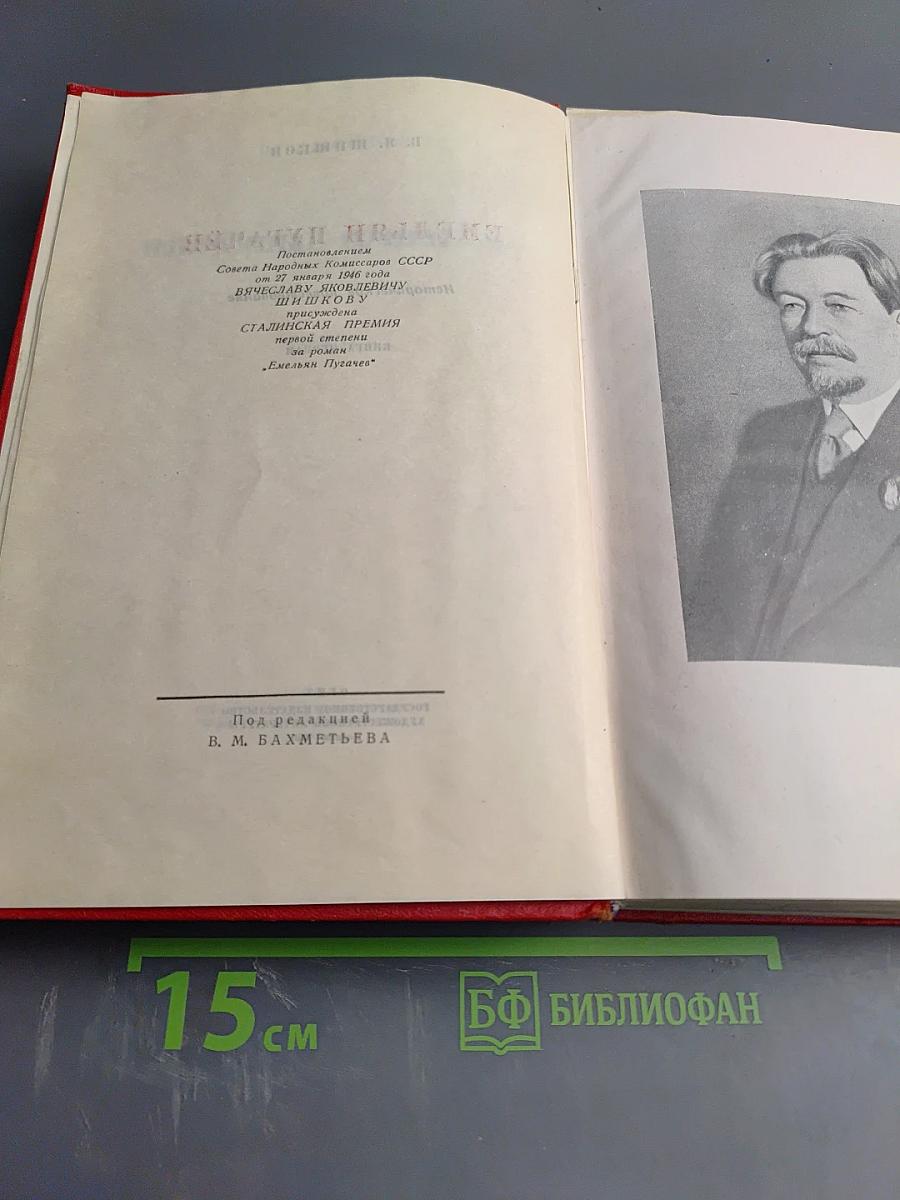 Емельян Пугачёв. Книга первая