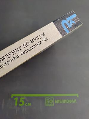 Хождение по мукам: Сестры. Восемнадцатый год