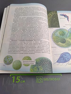 Биология. Многообразие живых организмов. Животные. 8 класс