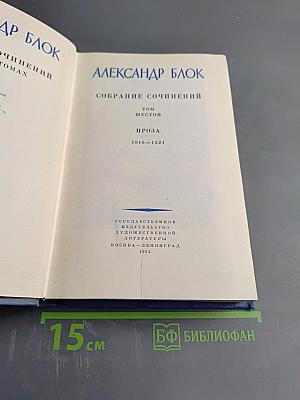 Собрание сочинений. Том шестой. Проза 1918-1921