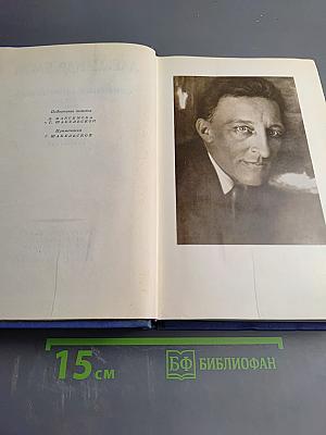 Собрание сочинений. Том шестой. Проза 1918-1921