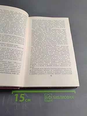 Сестра Керри. Западня