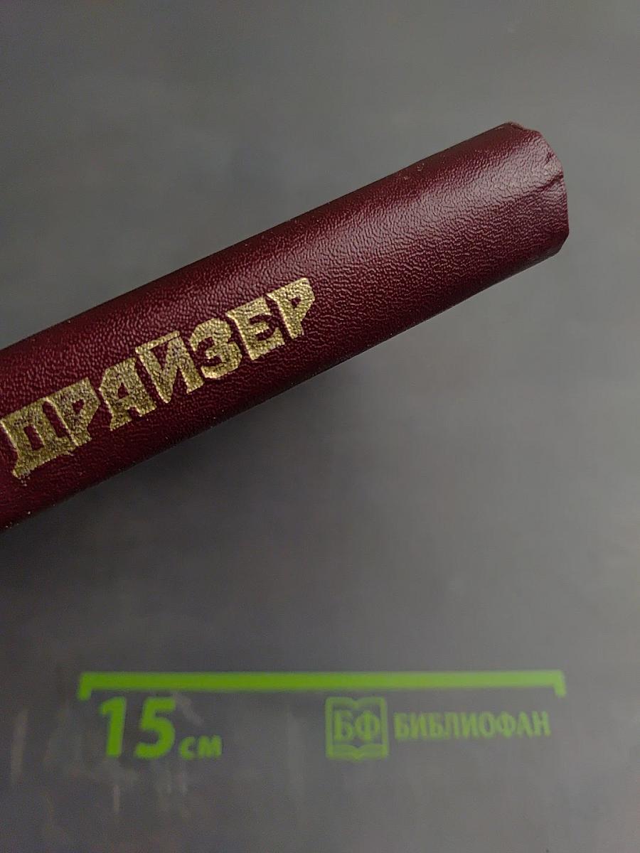 Сестра Керри. Западня