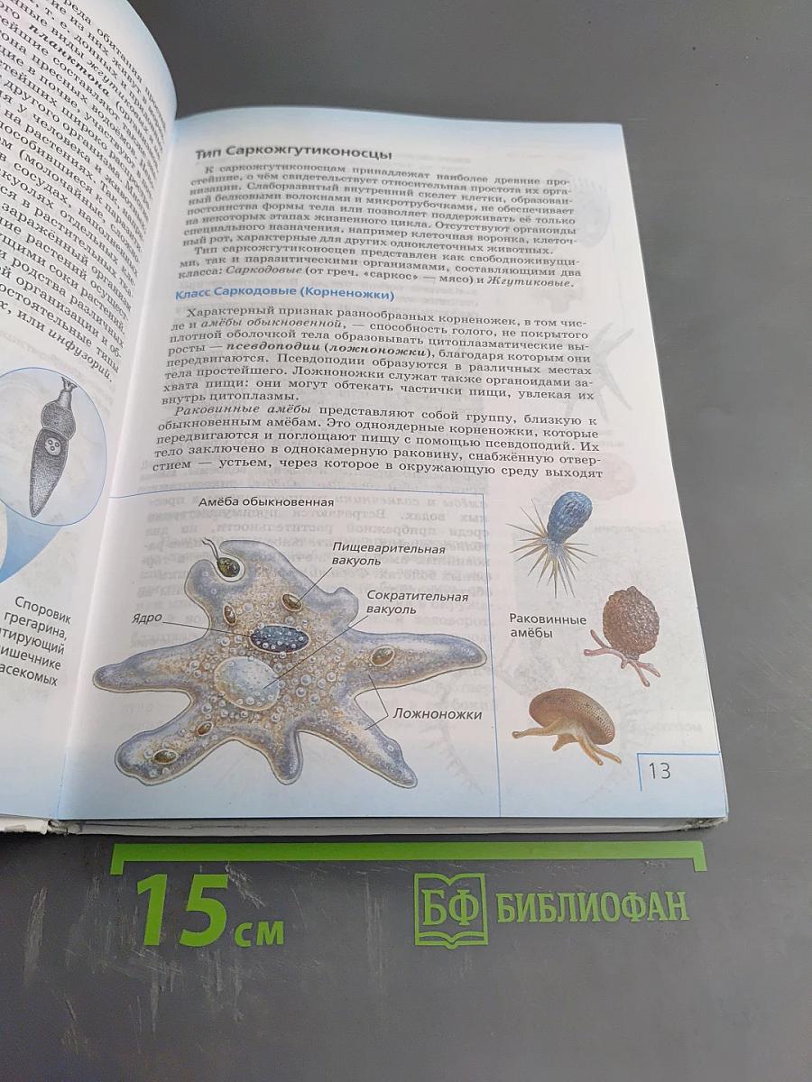 Биология. Многообразие живых организмов. Животные. 8 класс