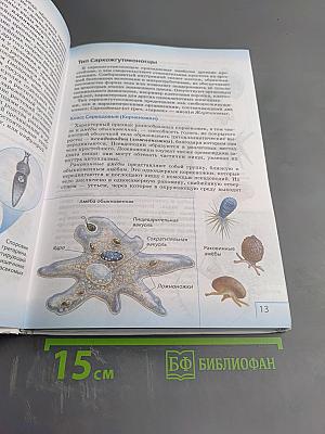 Биология. Многообразие живых организмов. Животные. 8 класс