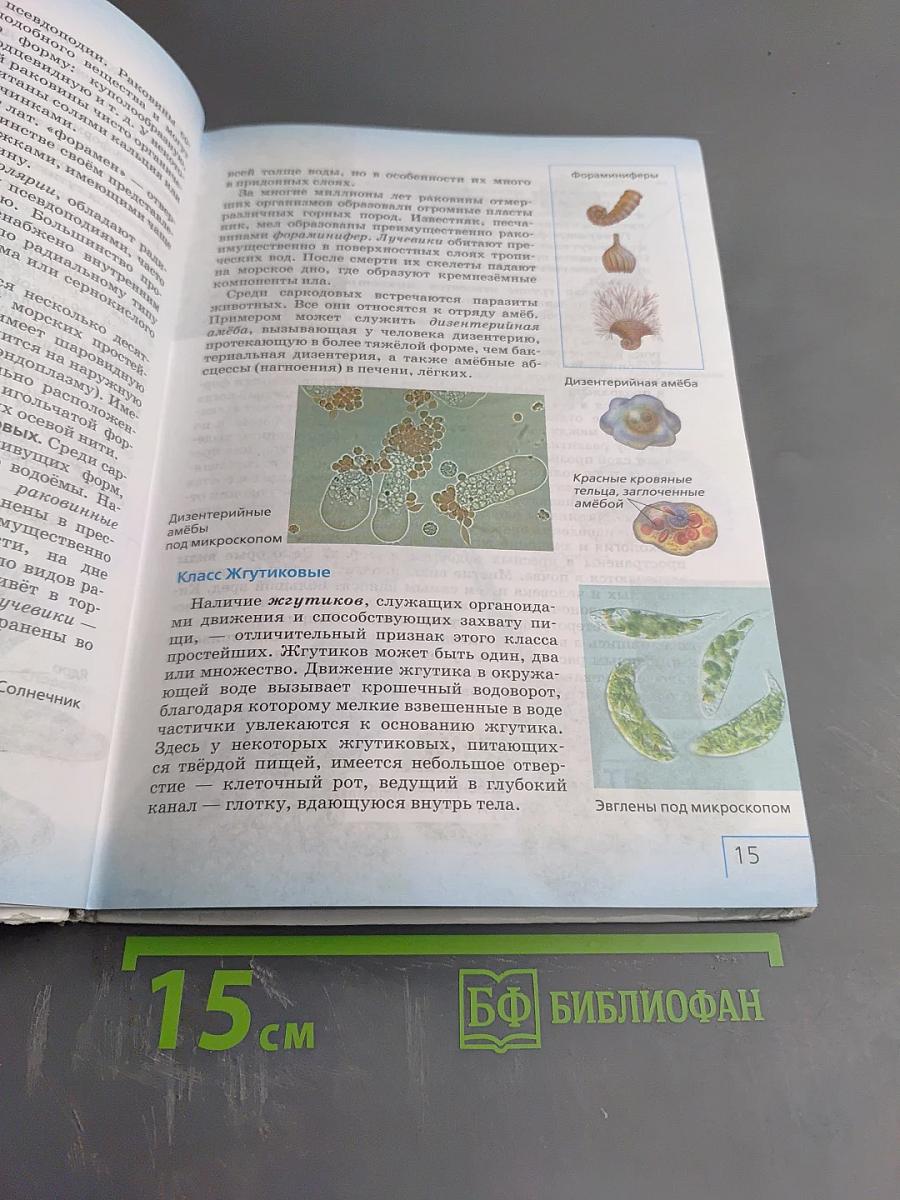 Биология. Многообразие живых организмов. Животные. 8 класс