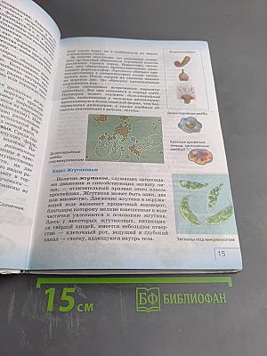 Биология. Многообразие живых организмов. Животные. 8 класс