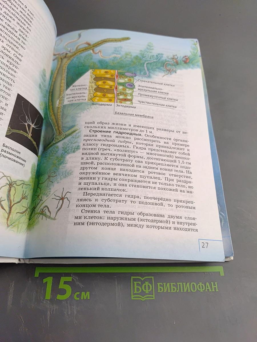 Биология. Многообразие живых организмов. Животные. 8 класс