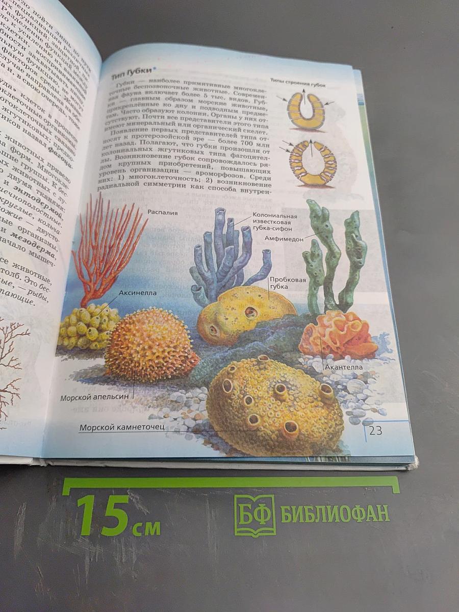 Биология. Многообразие живых организмов. Животные. 8 класс