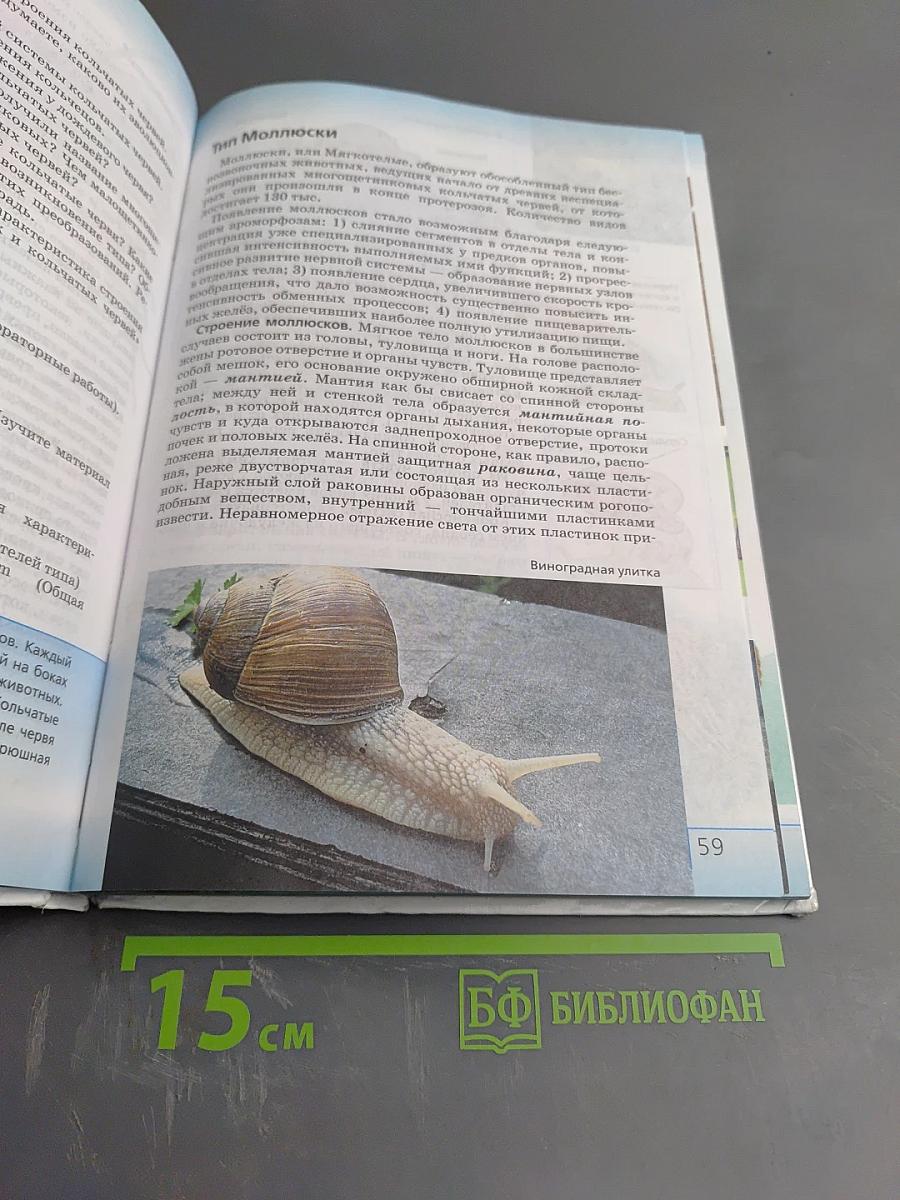 Биология. Многообразие живых организмов. Животные, 8 класс