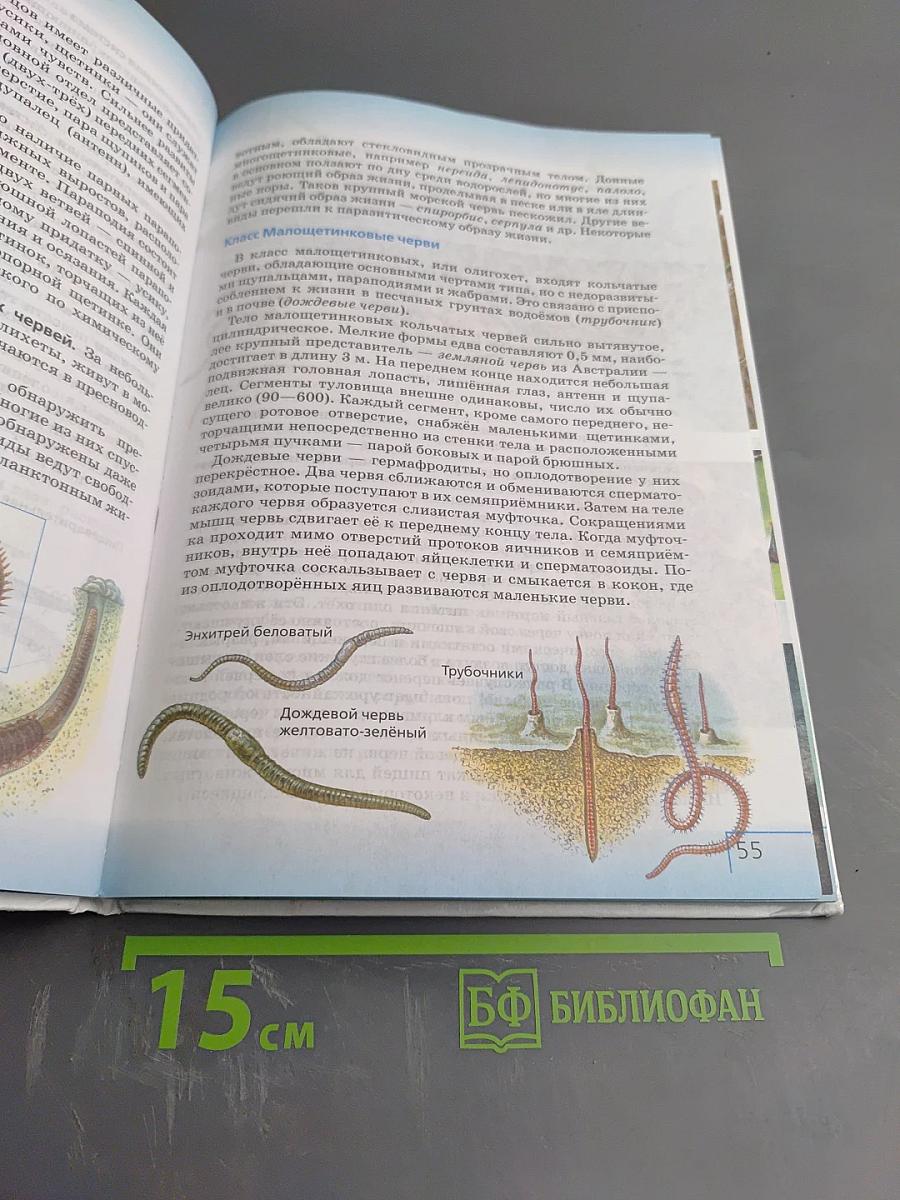 Биология. Многообразие живых организмов. Животные. 8 класс