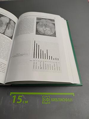 Профессор М. П. Никитин и наше время