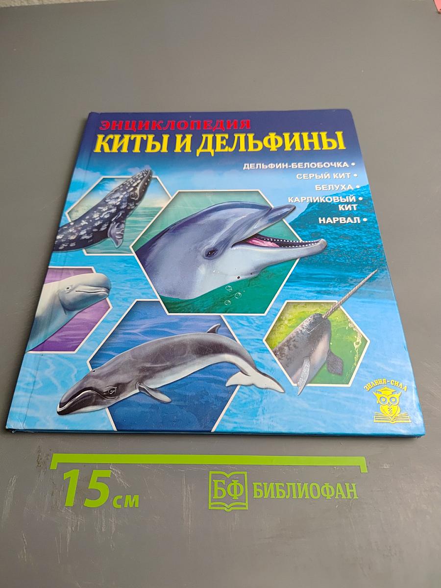 Энциклопедия. Киты и дельфины