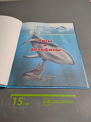 Энциклопедия. Киты и дельфины