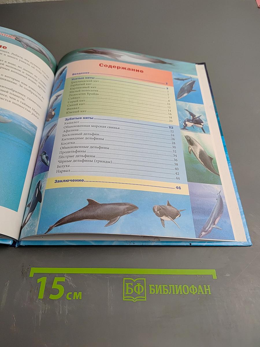 Энциклопедия. Киты и дельфины