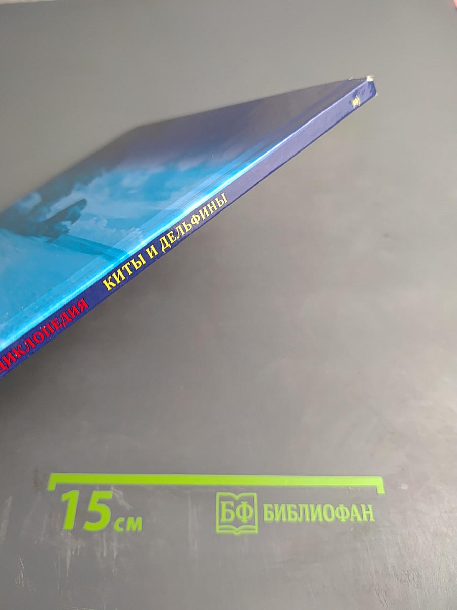 Энциклопедия. Киты и дельфины