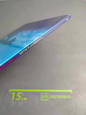 Энциклопедия. Киты и дельфины