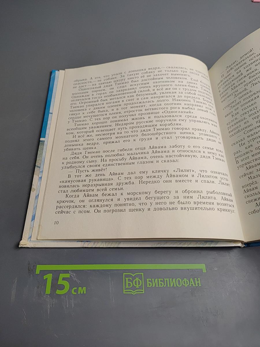 Приключения Айвама