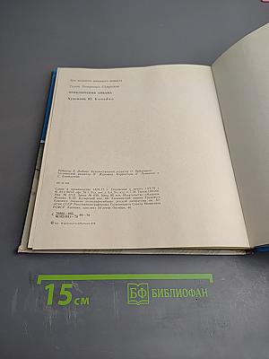 Приключения Айвама