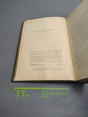 Большой русско-польский словарь. Том 1 (А-О)