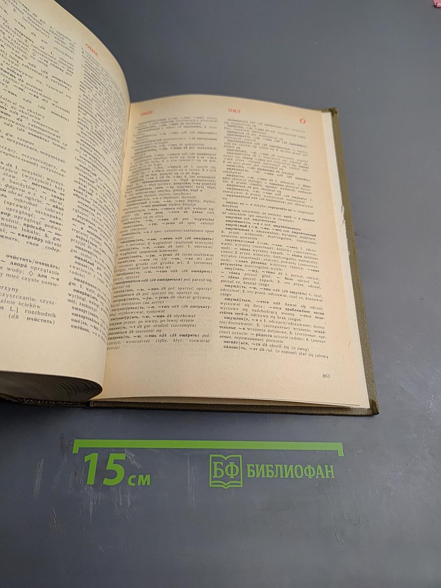 Большой русско-польский словарь. Том 1 (А-О)