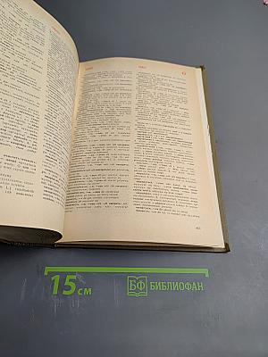 Большой русско-польский словарь. Том 1 (А-О)