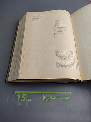 Большой русско-польский словарь. Том 1 (А-О)