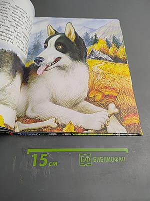 Сказки леса