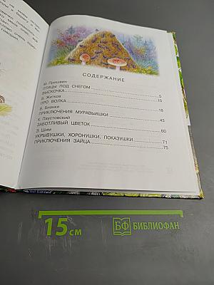 Сказки леса