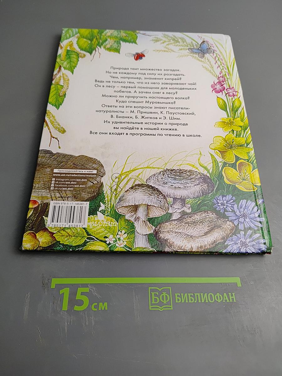 Сказки леса