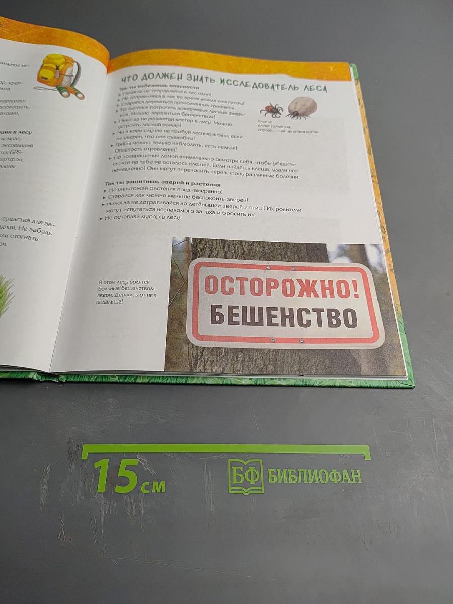 Дневник наблюдений. Гуляем в лесу и изучаем природу