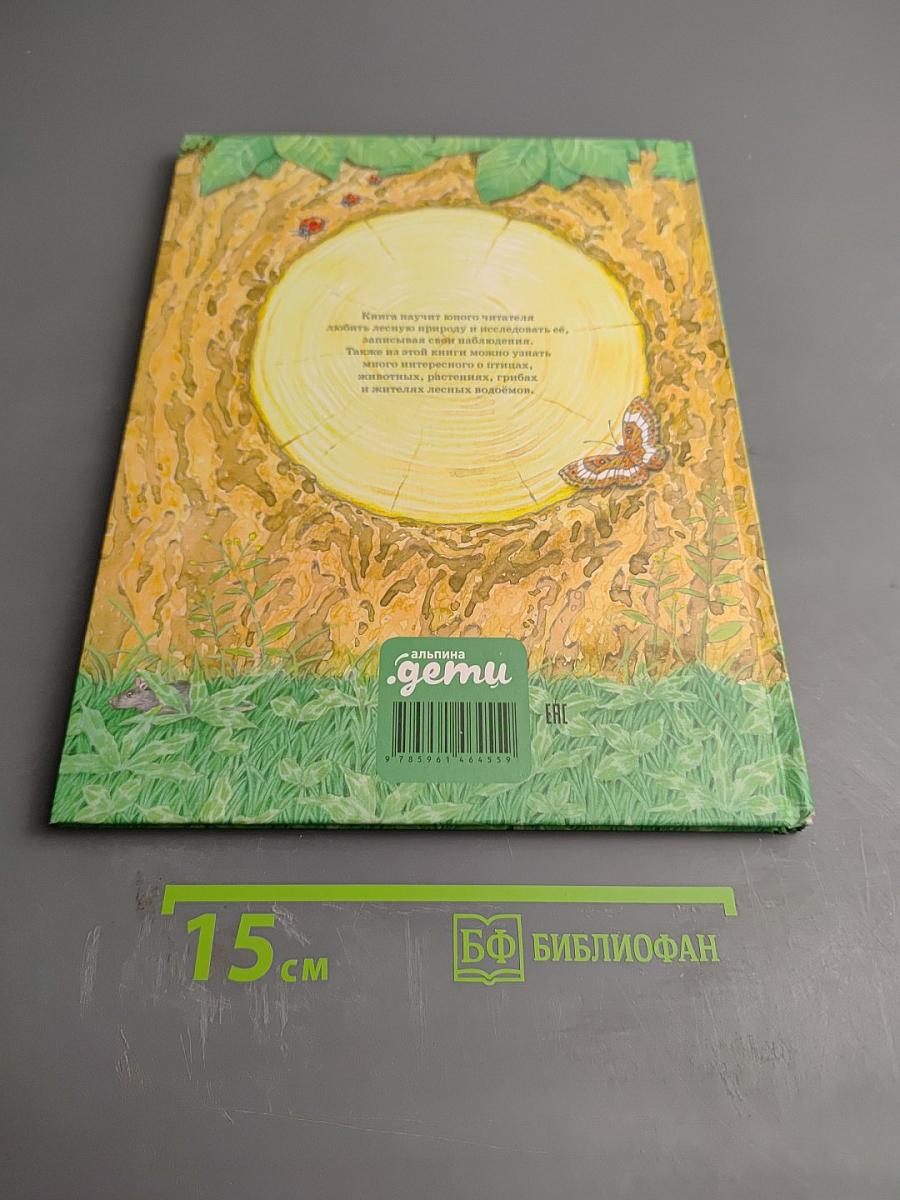 Дневник наблюдений. Гуляем в лесу и изучаем природу