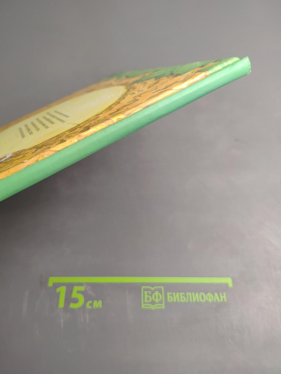 Дневник наблюдений. Гуляем в лесу и изучаем природу