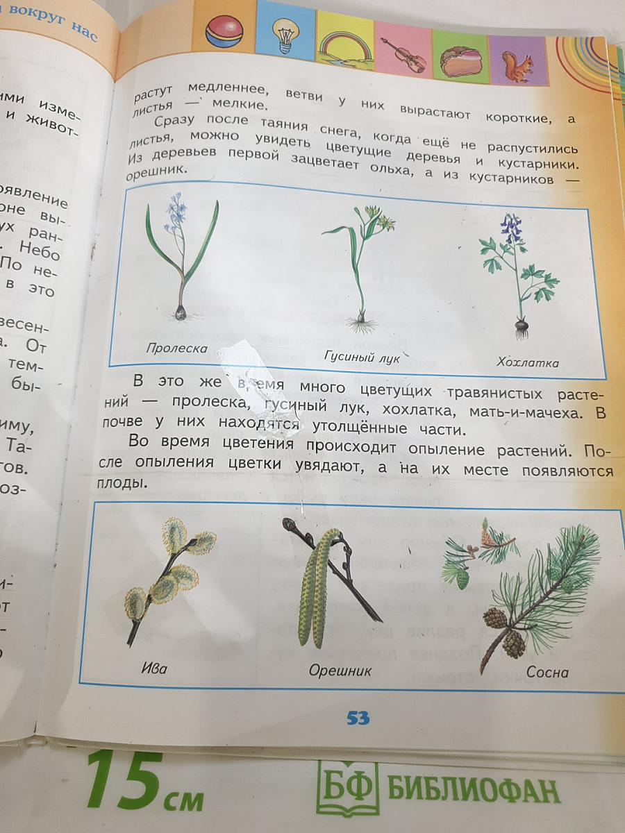 Окружающий мир 2 класс Часть 2