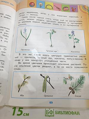 Окружающий мир 2 класс Часть 2