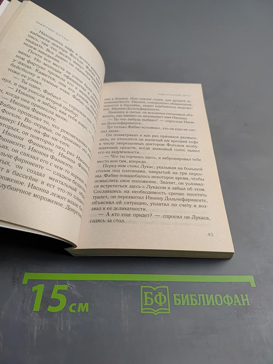 Идеальный друг