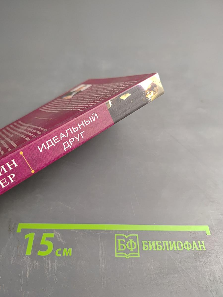 Идеальный друг