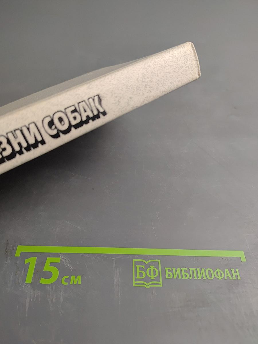 Болезни собак: Справочник