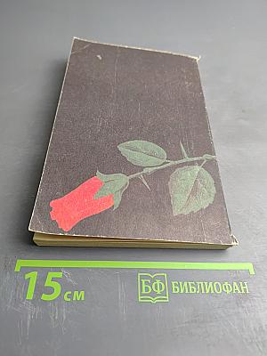 Не бойтесь любви