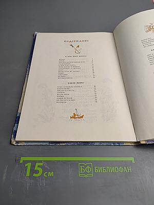 Кто проснулся раньше всех