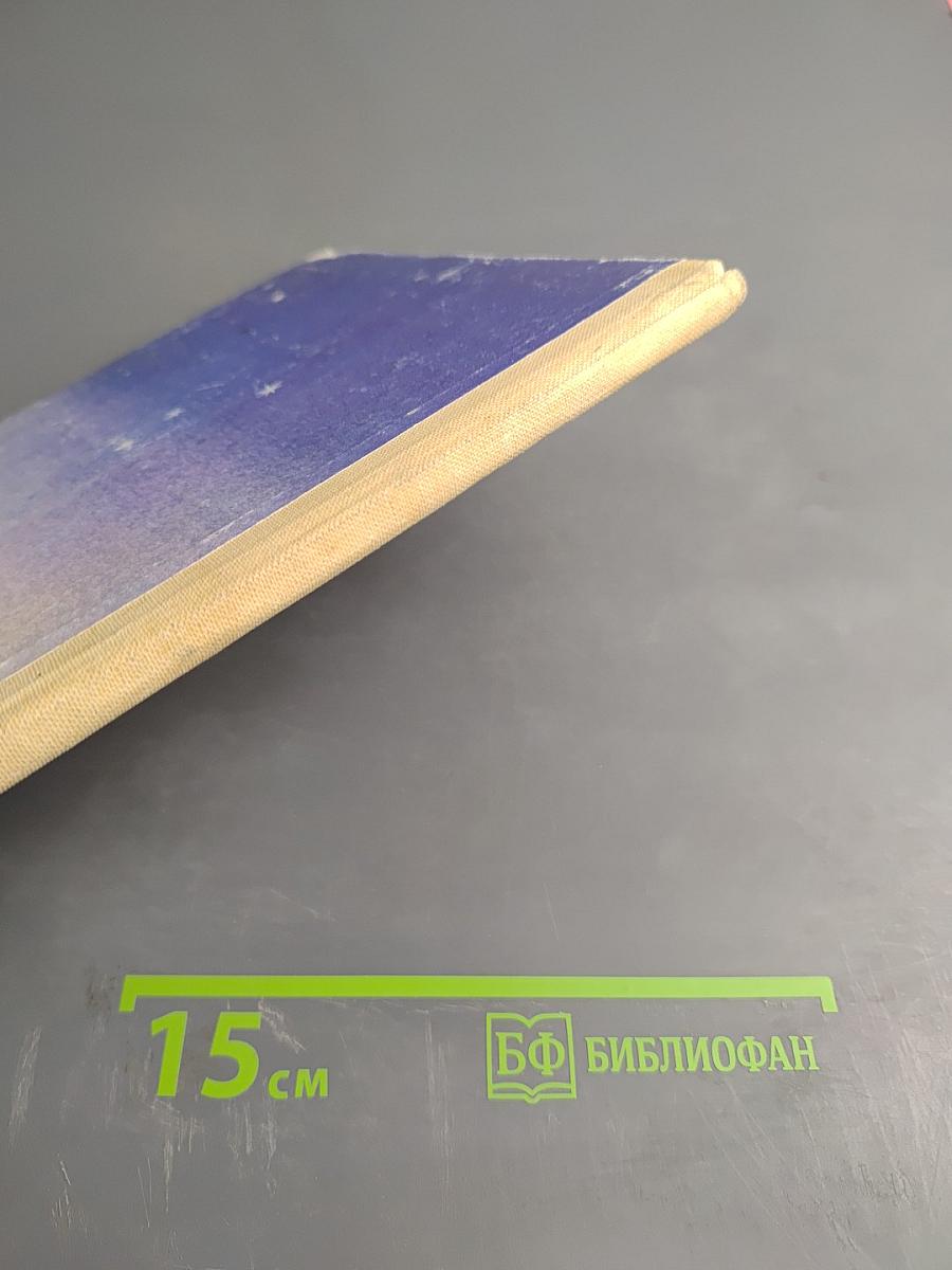 Кто проснулся раньше всех