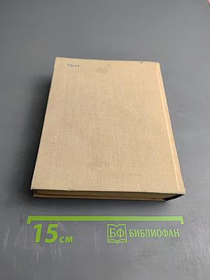 Горный ветер. Не отдавай королеву